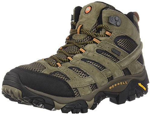 Merrell Men's Moab 2 Mid Waterproof Hiking Boot (12 D(M) US, Walnut)