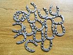 Cast Iron Mini Horseshoes 50 pc set Decoration and Crafts 2" x 1 3/4"