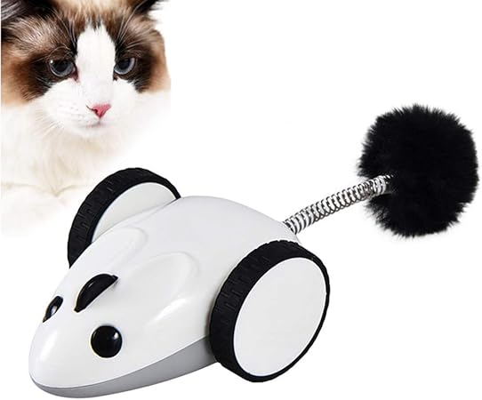 remote control kitten