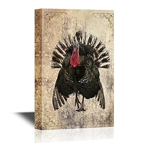 Birds and Poultry Canvas Wall Art - A Black Turkey - Gallery Wrap Modern Home Art | Ready to Hang - 12x18 inches