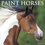 Paint Horses 2019 Wall Calendar by 
