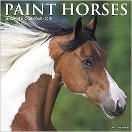 Paint Horses 2019 Wall Calendar, by Willow Creek Press