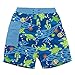 i play. by green sprouts baby-boys Trunks with Built-in Reusable Swim Diaper,Royal Blue Turtle Journey,3T