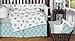 Sweet Jojo Designs 9-Piece Turquoise Blue and Gray Earth and Sky Birds Nature Girl or Boy Baby Bedding Crib Set