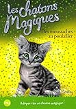 Les chatons magiques, Tome 17 : Des moustaches au poulailler by