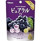 Kabaya Pureral Gummy Candy, Grape Flavor, Single