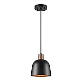 Globe Electric 67000193 1-Light Pendant