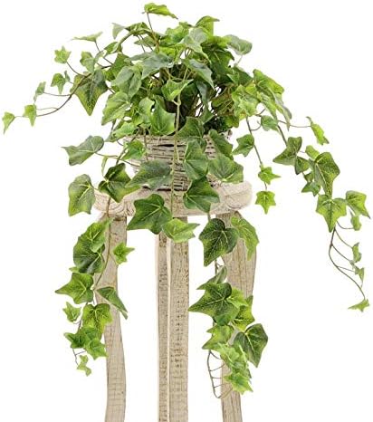 消臭 脱臭 空気清浄 抗菌 花粉除去 フェイクグリーン 観葉植物 人工 オフィス シンプル 寝室 プレミアム人工観葉植物 造花 インテリア イングリッシュ アイビー 白樺風バスケット No Ss Cherrystates Com