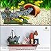 SunGrow Shipwreck for Betta Fish, 5.7-inches Long by 2.2-inches Wide by 5.1-inches Tall, Made of Resin, Suitable for Any Aquarium Size, Boat Aquarium or Home Décorthumb 4