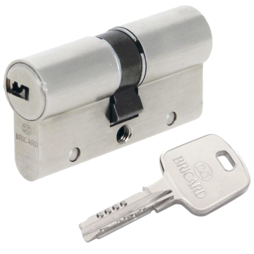 BRICARD 18002 Cylinder Lock Nickel-Plated Dual Serial Input XP 30 + 40