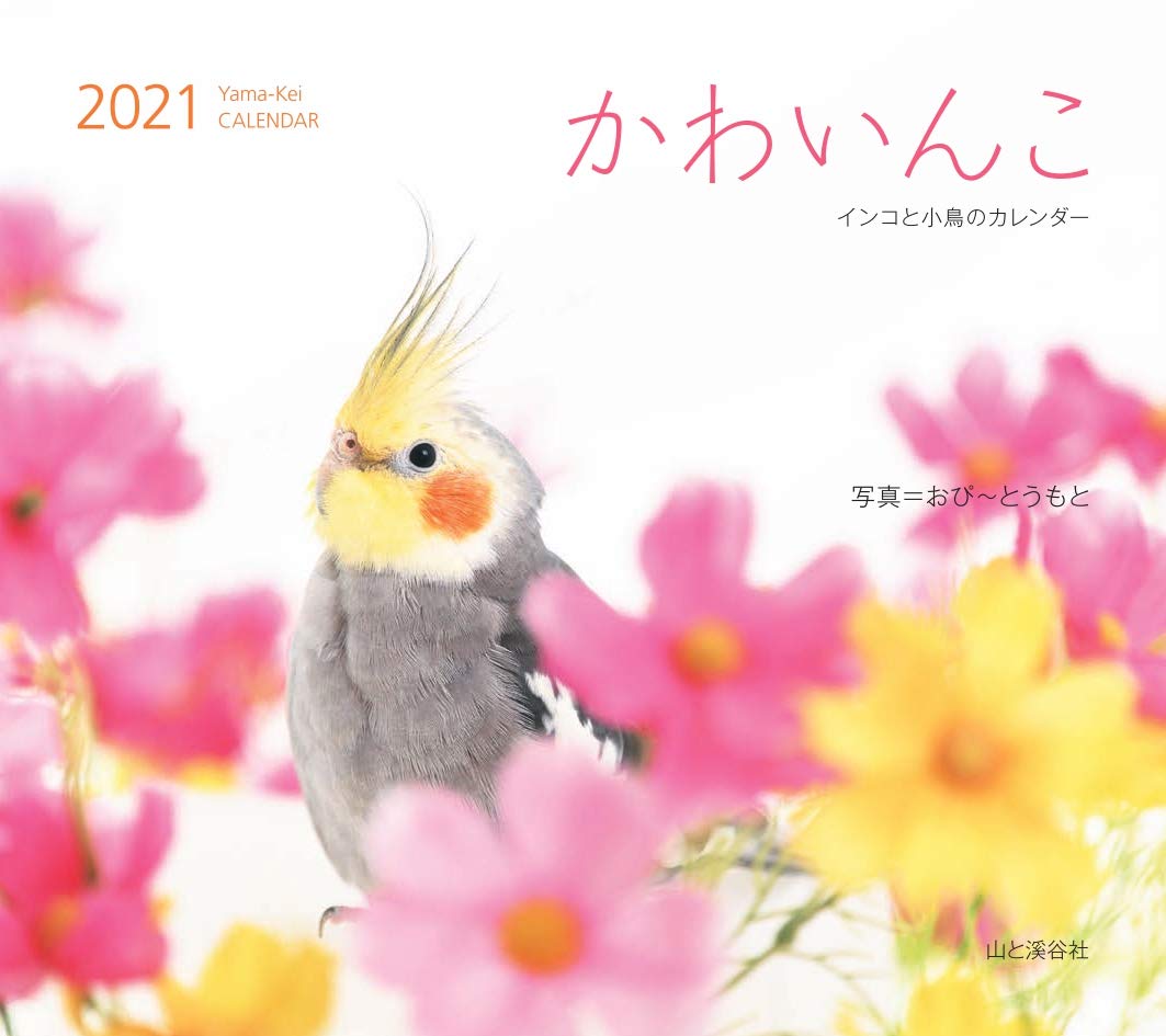 カレンダー21 かわいんこ インコと小鳥のカレンダー 月めくり 壁掛け ヤマケイカレンダー21 おぴ とうもと 本 通販 Amazon