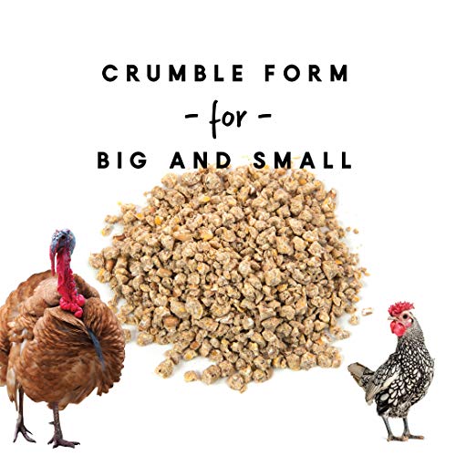 Manna Pro All Flock Crumbles 16 Protein Level Complete Feed for