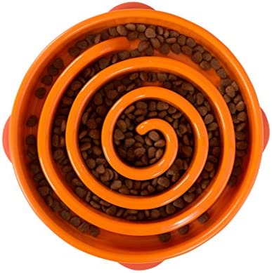 Outward Hound Kyjen 51001 Fun Feeder Slow Feed Interactive Bloat