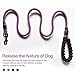 VLDCO 10 FT Strong Dog Leash Extra Heavy Duty Rock Climbing Rope Comfortable Padded Handle Highly Reflective Threads for Small Medium Large Dogs, 1/2 inch Diameter (Purple)