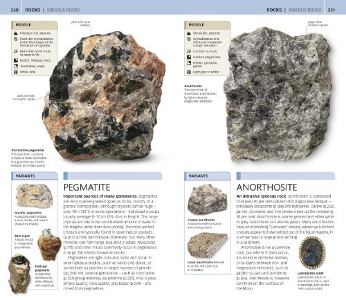 National Geographic Rocks and Minerals Guide - Image 4