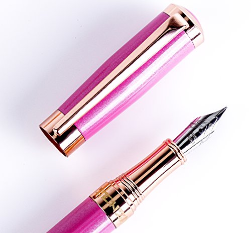 Fountain pen set with case and modern ink refill conver…