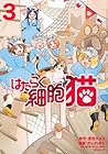 はたらく細胞 猫 第3巻