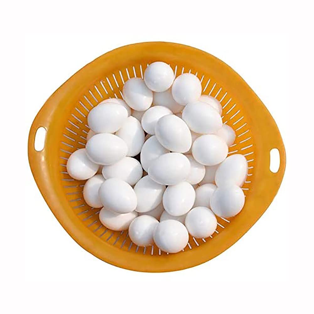 ANCLLO 20Pcs 10g Solid Plastic Eggs Dummy Eggs for Racing Pigeons