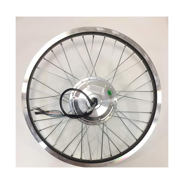 €130.00 RICAMBI\u0026RICAMBI Ruota Posteriore Originale per Bici SMARTWAY  BEBIKES Modello F2-L4S2-81 - bikewebshop.it