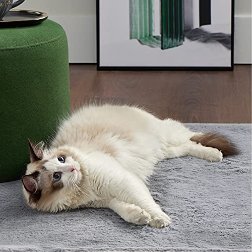 Bedsure Faux Fur Area Rug - Soft Fluffy Fuzzy Rug 2x3 for Bedroom, Grey Shag Rugs Non Slip, Furry Throw Rugs for Living Room, Home Decor for Girls Kids Teen Nursery Dorm Room