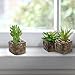 MyGift Set of 3 Decorative Mock Stone Ceramic Artificial Succulent Centerpiece Pots/Realistic Faux Plants
