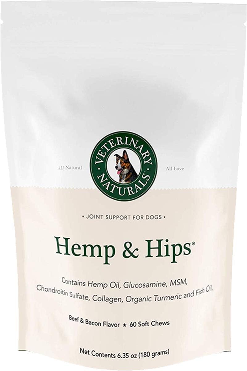 mattress firm dog bed