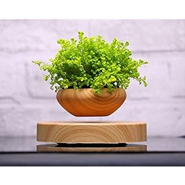 Magnetic Levitation Air Bonsai