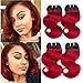 Peruvian Body Wave Omber Hair Bundles 4pcs 1b/Red Human Hair Weft 50g/Pcs Remy Human Virgin Hair Body Wave (1b/Red)