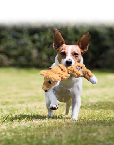 KONG Scrunch Knots Squirrel Dog Toy, Medium/Large