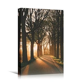 signwin Canvas Wall Art Autumn Dramatic Forest Landscape...