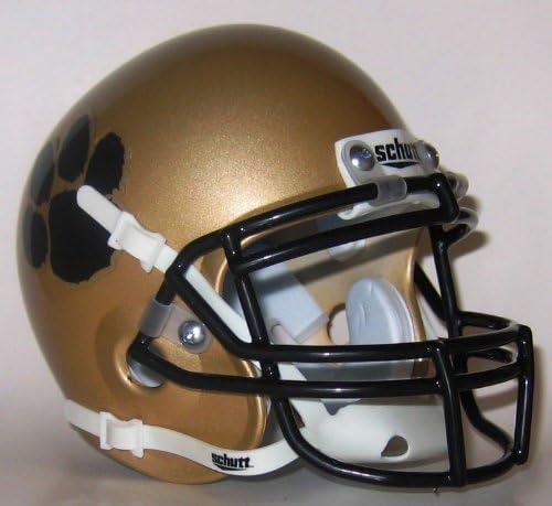 Calabasas Coyotes High School Mini Helmet - Calabasas, CA