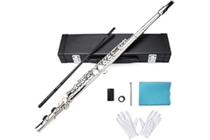 BQKOZFIN Closed Hole C Flute 16 Keys Flute Nickel Plated Tube Instrument with Gloves, Wiping Cloths, Pipe Grease, Probe Rods,