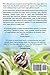 Sugar Gliders or Sugar Bears: Facts and Information on Sugar Gliders as Pets Including Care, Breeding, Bonding, Food, Diet, Lifespan, Cages, Toys, C