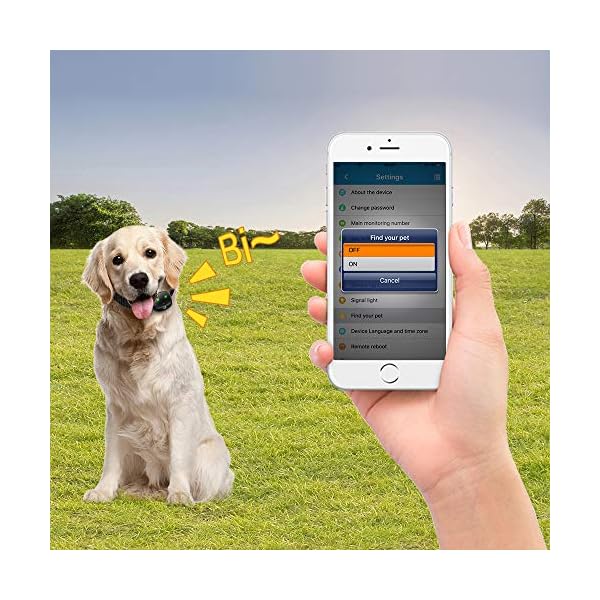 Bartun lte gps dog tracker Clearance