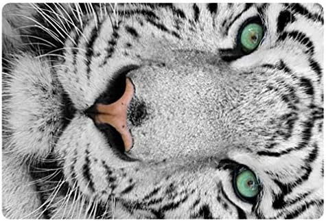 Personalized Tiger Print Bedroom Dorm Doormat Soft Flannel Nonslip Absorbs Mud Hallway Kitchen Floor Enter Mat For Apartment Balcony Foyer Sliding Door Entrance Mat Bathroom Bibulous Carpet Fast Dry
