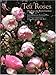 Tea Roses: Old Roses for Warm Gardens