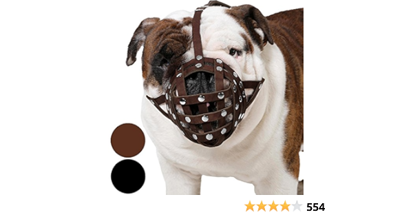 american bulldog muzzle