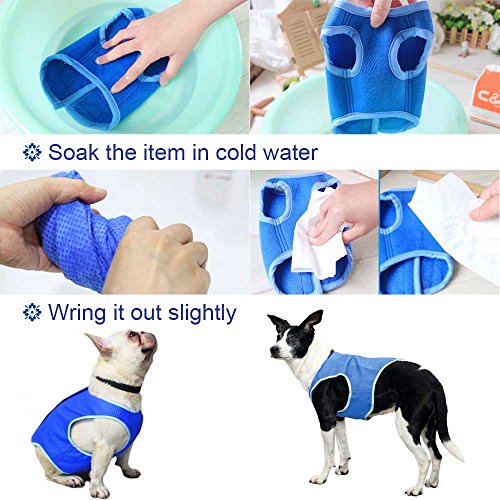Ranphy Dog Cooling Vest for Small, Medium and Larges Dogs Reusable Swamp Cooler Jacket Soft Lightweight Pet Cool Coat Breathable Canine Outdoor Sunscreen Clothingfor Summer Hot Weather Blue Size L