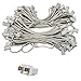 APMRUMGO US Outdoor Light String 100ft Globe Patio String Lights - 100 Foot White Light Strings w/Clear G40 Bulbs UL Edison Lights Include spares