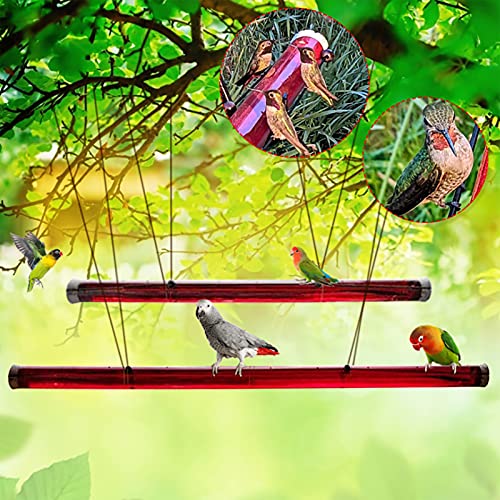 Hummingbird Feeder for Outdoors Hanging, JIDIMI Wild Bird Feeders with Hole, Red Transparent Tube, Easy to Use & Clean, Hummingbird feeders for Window, Patio, Garden, Yard, Deck, Farm (Red, 15.7 in)