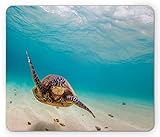 Lunarable Hawaiian Mouse Pad, Underwater Scuba