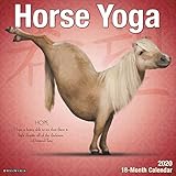 Horse Yoga 2020 Wall Calendar by 