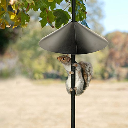 Audubon Squirrel Baffle 18-Inch - Image 3