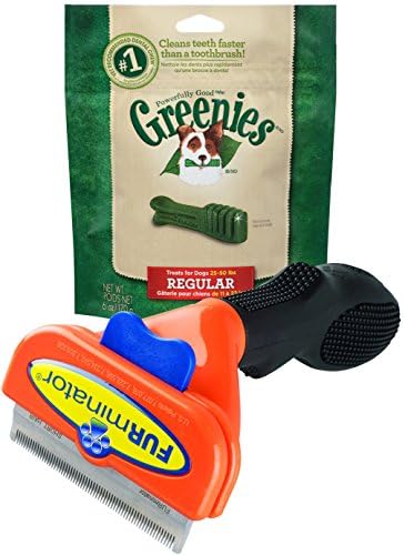 FURminator deShedding Brush For MEDIUM DOGS With SHORT HAIR 21-50Lbs 2.65" Edge BONUS GREENIES Original Dental Dog Treats (6 oz) REGULAR 6 Pack