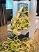New and Essential Spiralizer Tri-Blade Spiral Vegetable Slicer