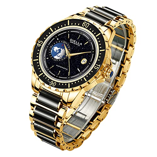 Diella Automatic Watches for Men, Luxury Black Jade Men's Dress Wrist Watch, Self Winding Mechanical Gold Stainless Steel Case Watch with Date, Luminous Starry Sky Globe (Model: AD6058G)