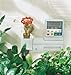 Orbit 62001 Lawn and Garden Digital Watering Timer