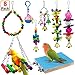 AK KYC 8 Pack Bird Parrot Toys Swing Chewing Hanging Bell Cage Hammock Toy for Small Parakeets Cockatiels Conures Parrots Love Birds Finches