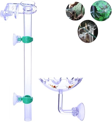 Amazon Com 13 7in Shrimp Fish Feeder Tube And Petri Dish Used