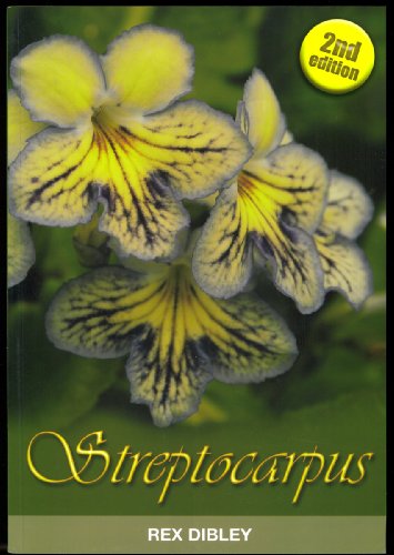 Streptocarpus